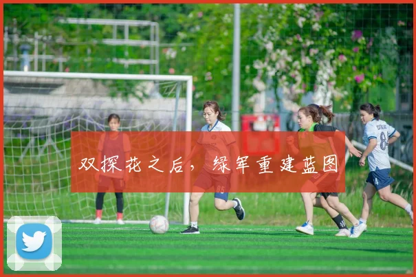 双探花之后，绿军重建蓝图