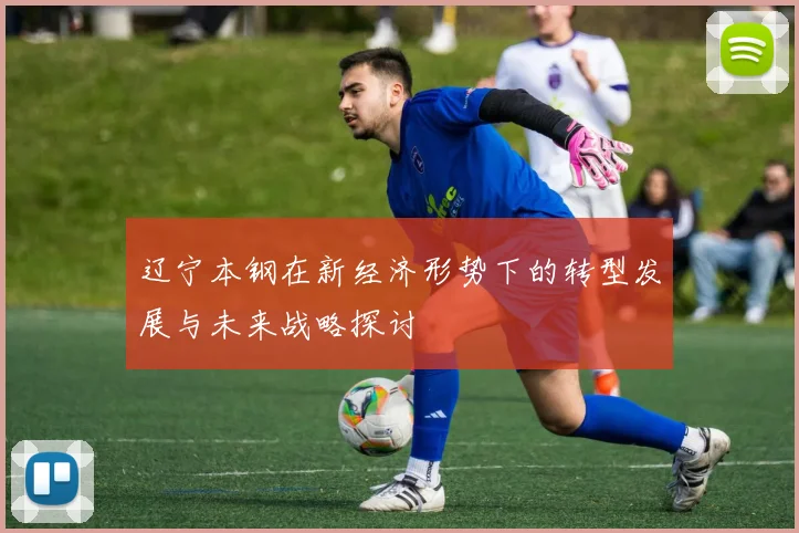 辽宁本钢在新经济形势下的转型发展与未来战略探讨