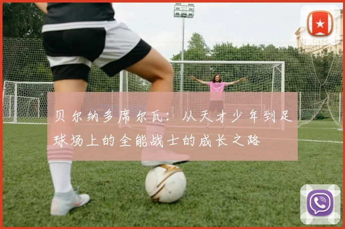 贝尔纳多席尔瓦：从天才少年到足球场上的全能战士的成长之路