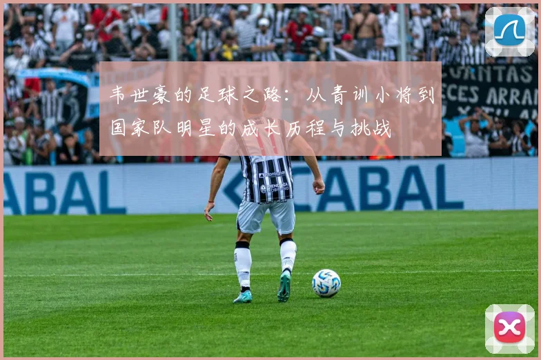 韦世豪的足球之路：从青训小将到国家队明星的成长历程与挑战