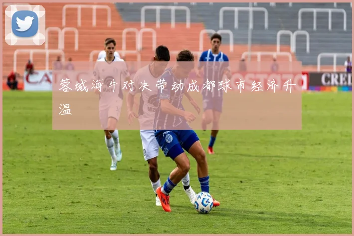 蓉城海牛对决带动成都球市经济升温