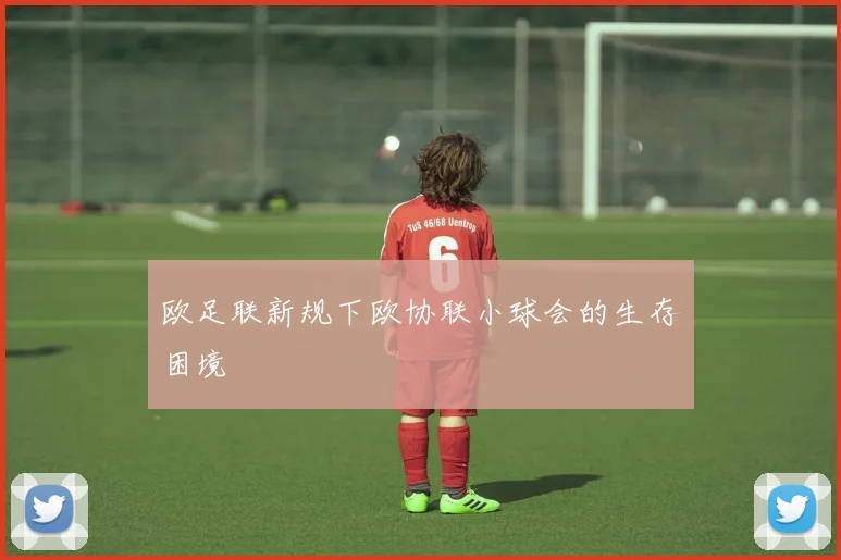 欧足联新规下欧协联小球会的生存困境