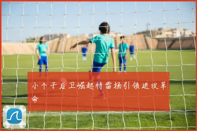 小个子后卫崛起特雷杨引领进攻革命