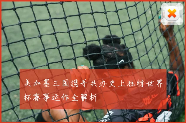 美加墨三国携手共办史上独特世界杯赛事运作全解析