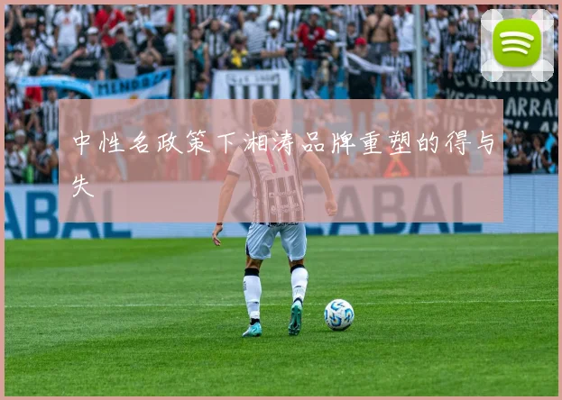 中性名政策下湘涛品牌重塑的得与失